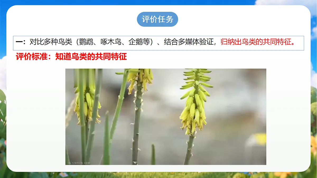 青岛版（六三制）2024科学三上1.3《鸟》课件第3页