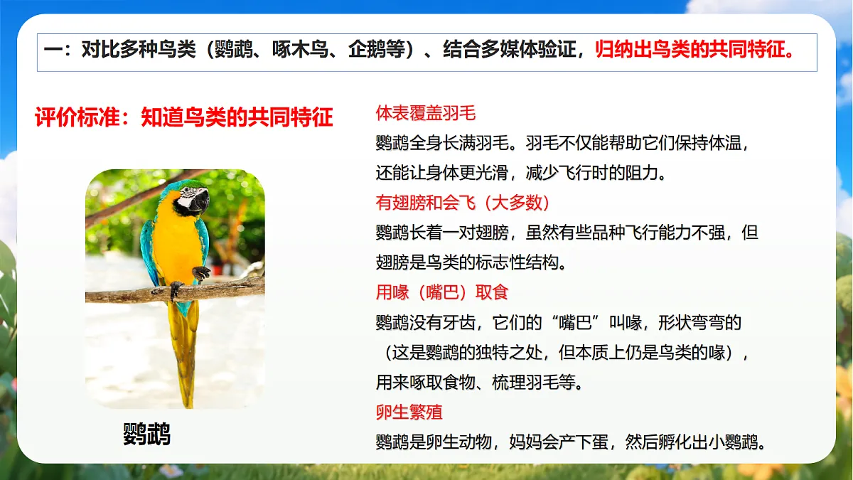 青岛版（六三制）2024科学三上1.3《鸟》课件第7页