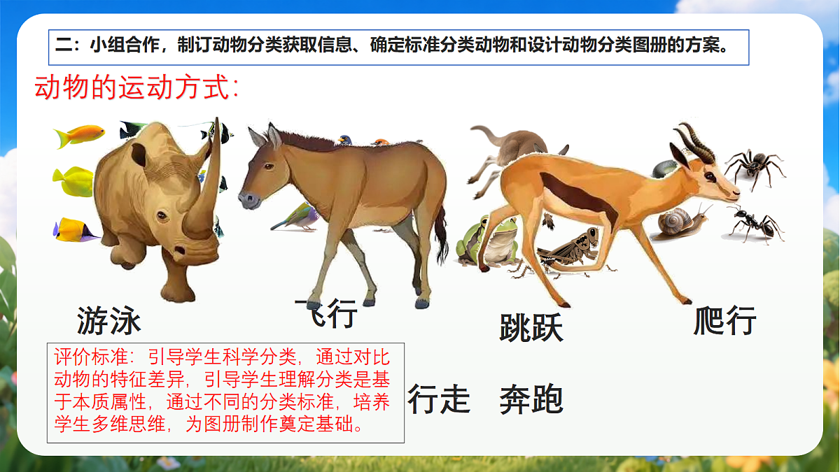 青岛版（六三制）2024科学三上1.5《制作动物分类图册》课件第6页