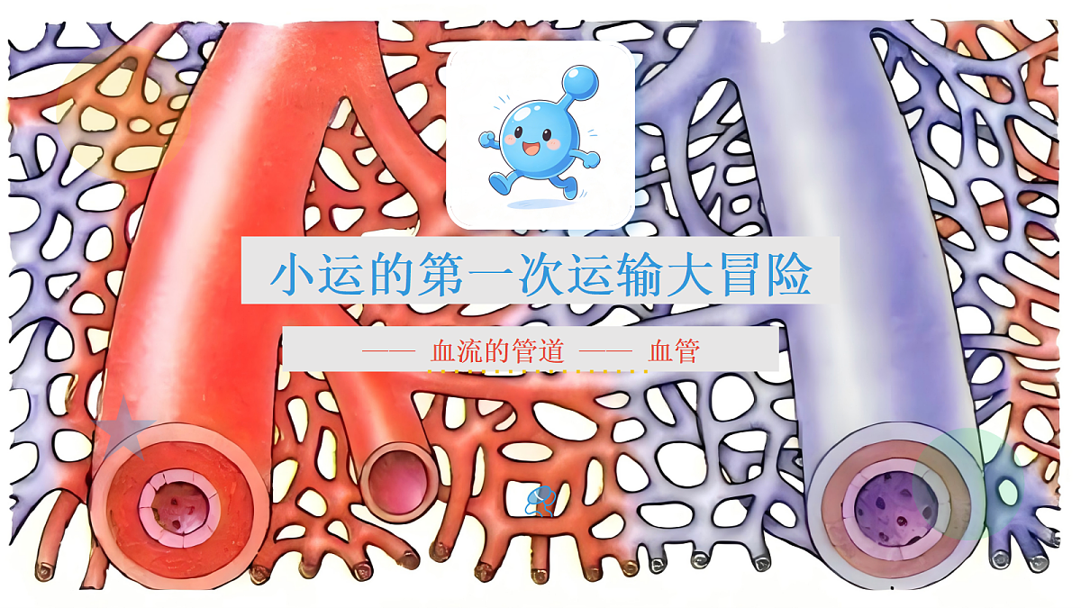 18430799第1页