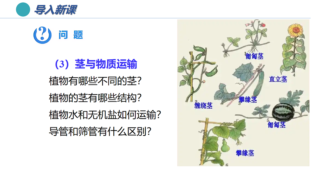 18430804第4页