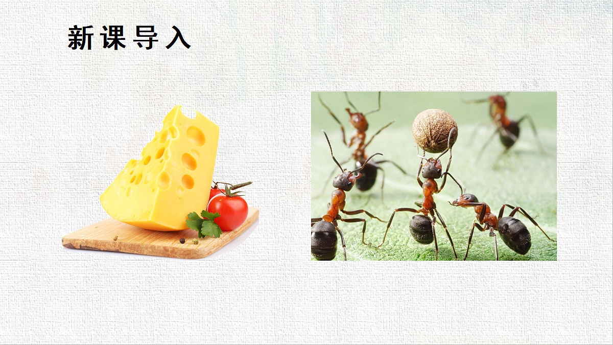 18431060第2页