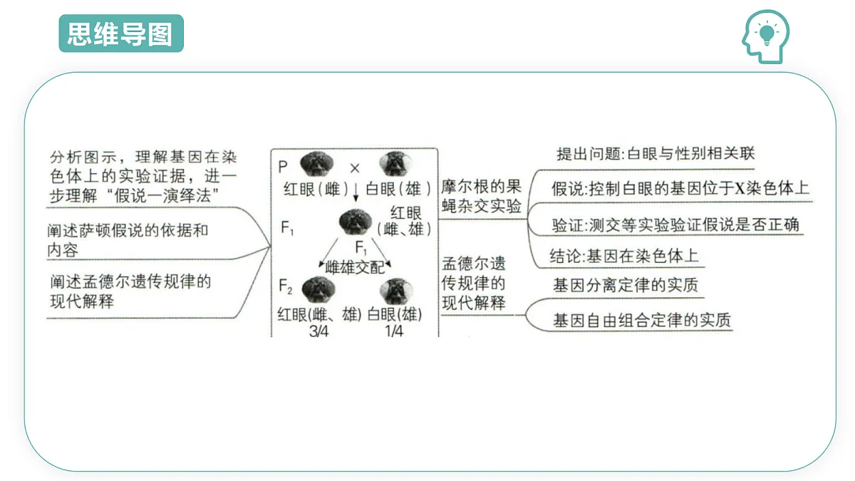18431945第4页