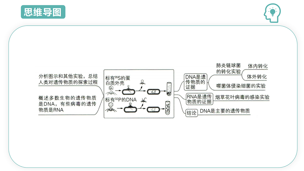 18431946第3页