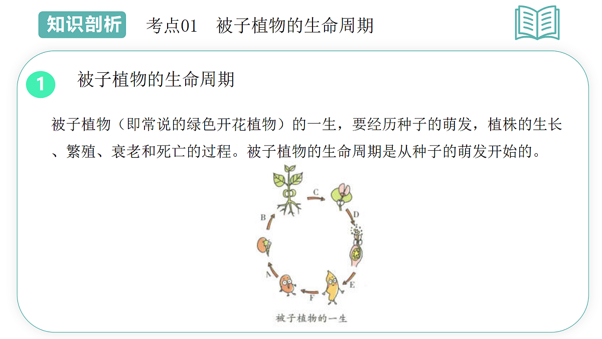 18431982第7页