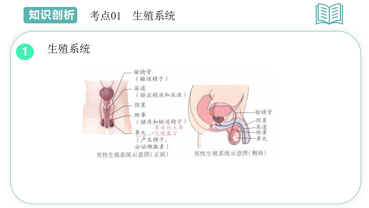 18431984第8页