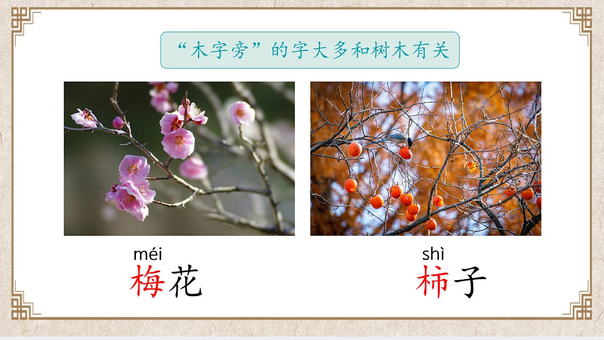 18432798第7页