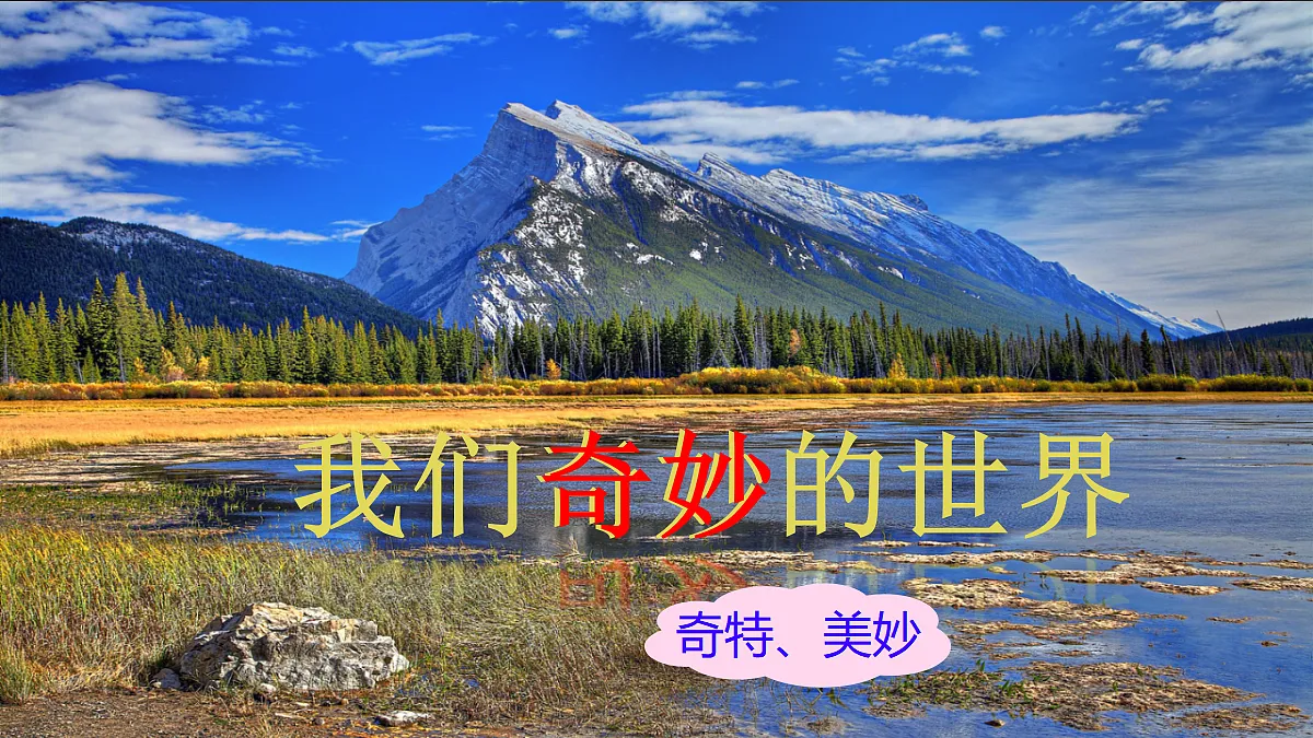 18432808第1页