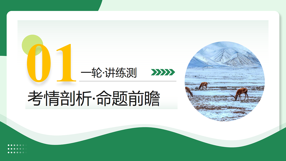 18433854第3页