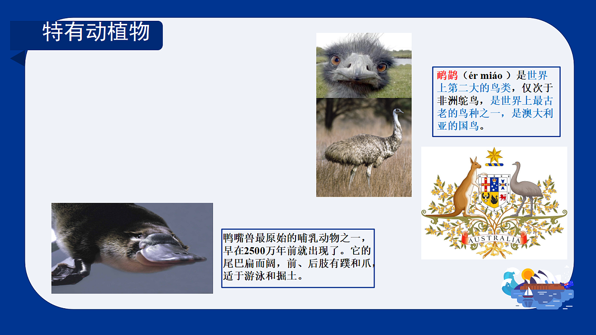 18434007第5页
