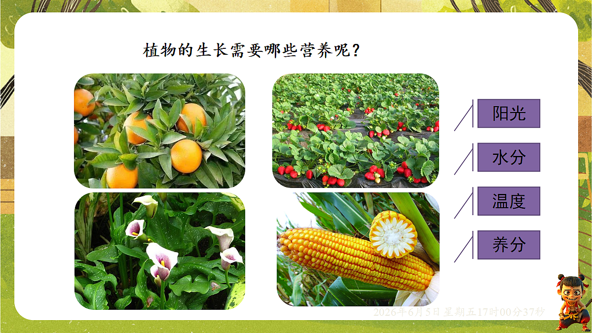 18434647第4页