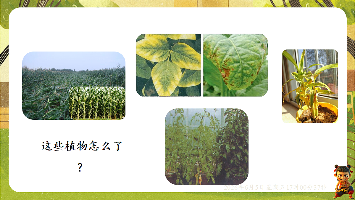 18434647第8页