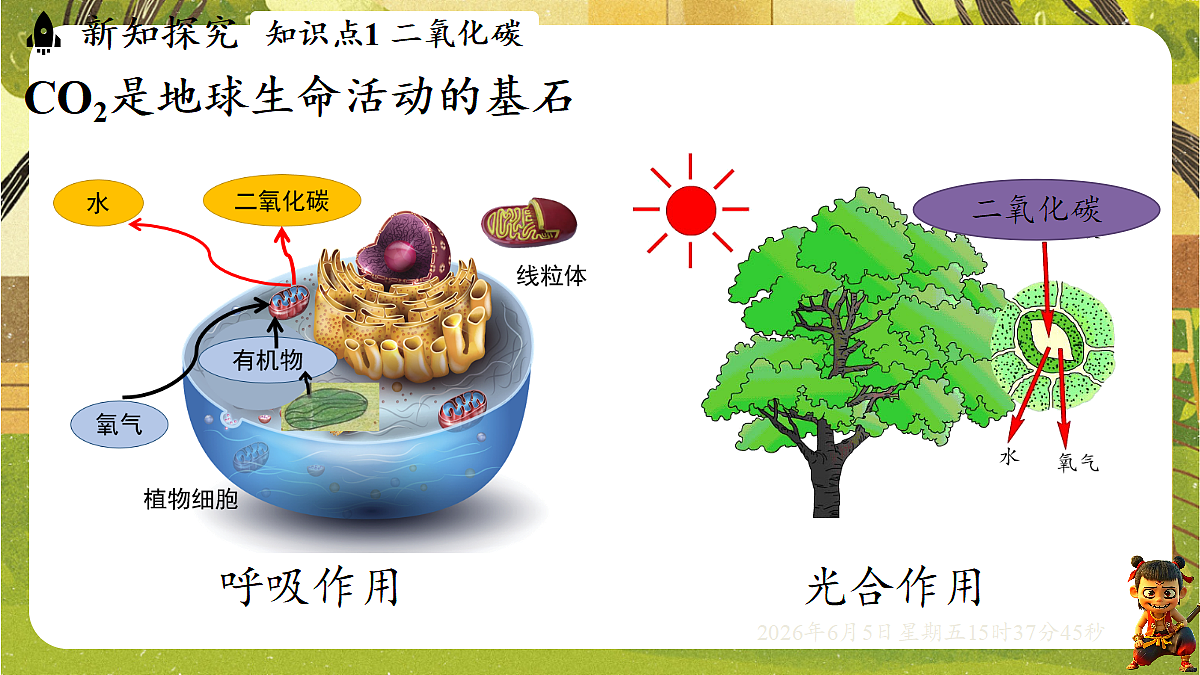 18434714第5页