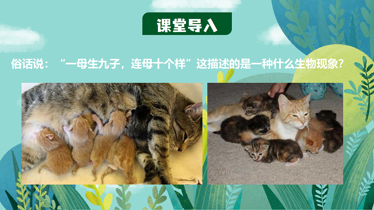 18437751第4页