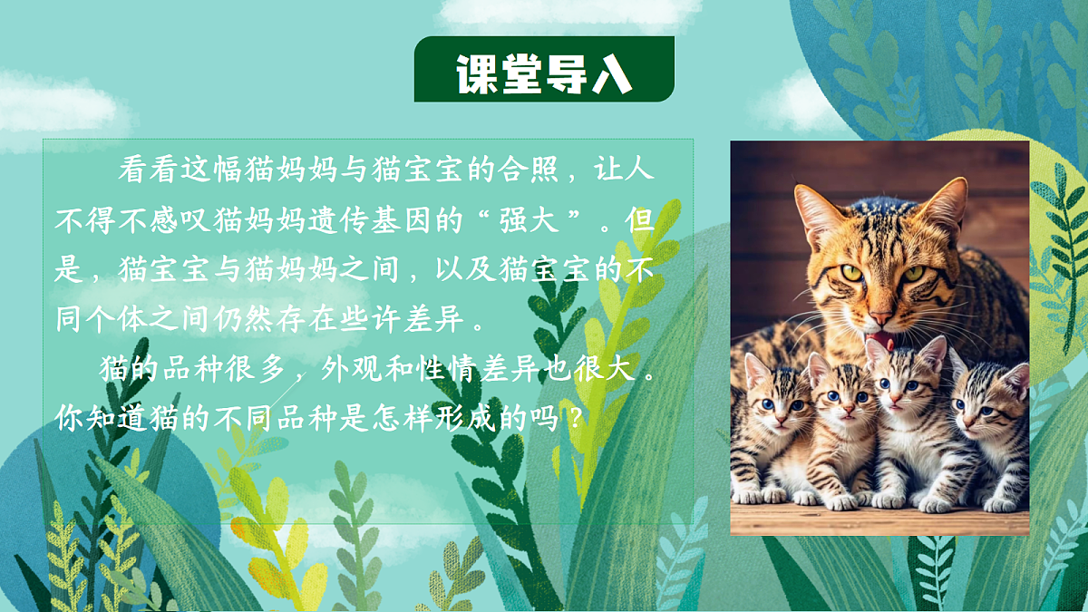 18437751第5页