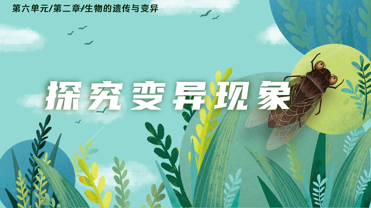 18437751第6页