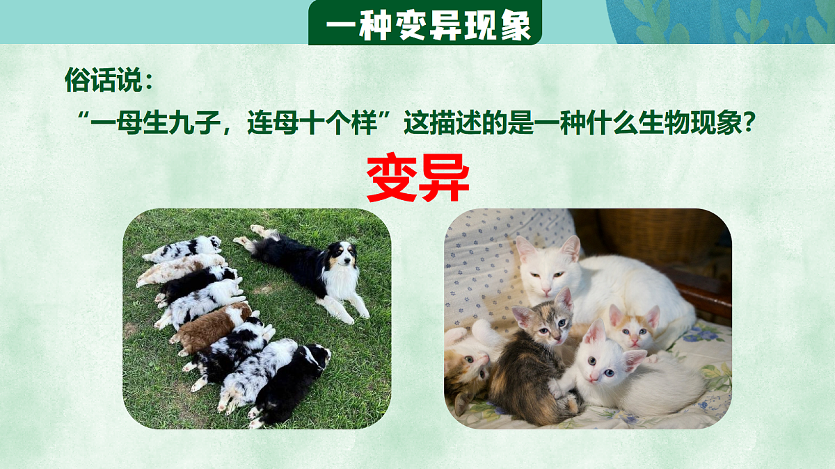 18437751第7页