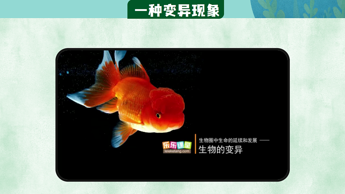 18437751第8页