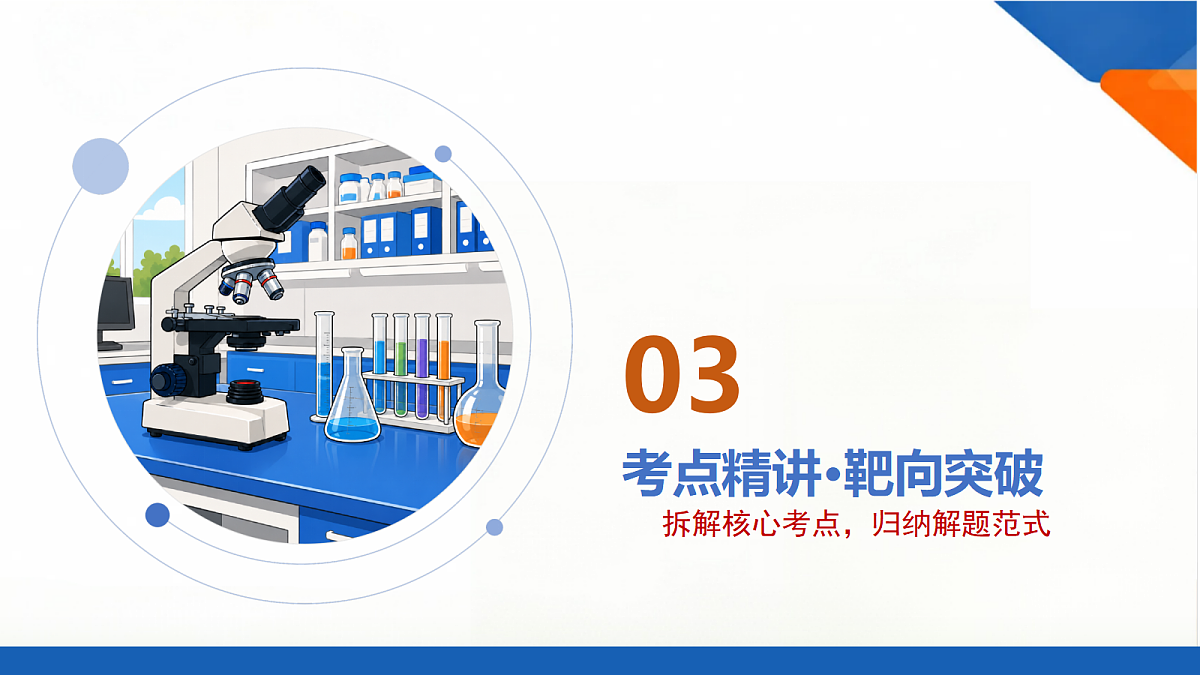 18437916第8页