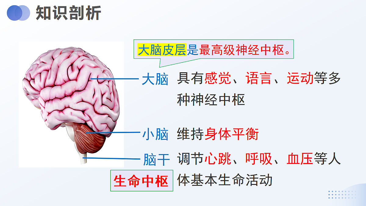 18438042第5页