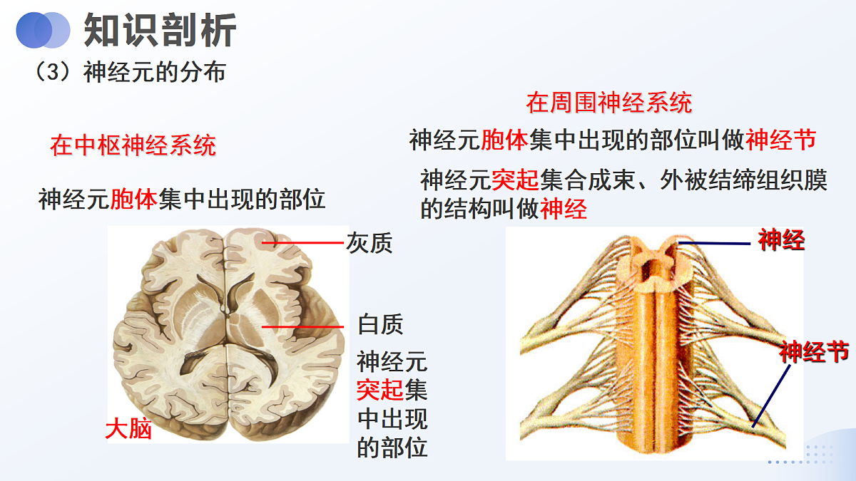 18438042第8页