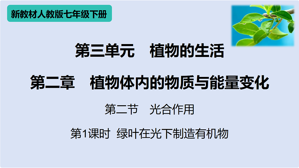 18438051第1页