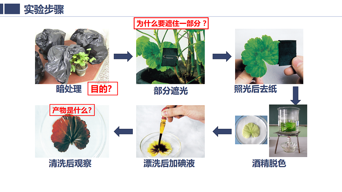 18438051第8页