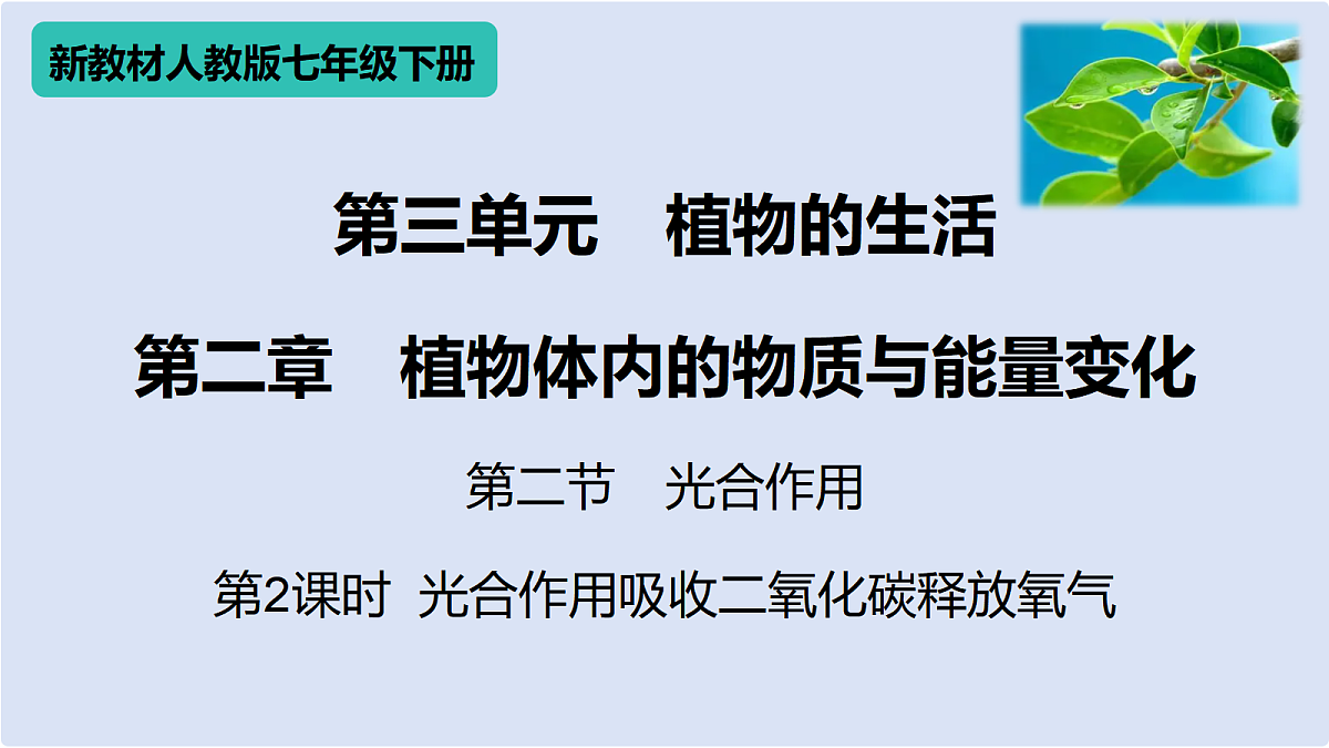 18438052第1页