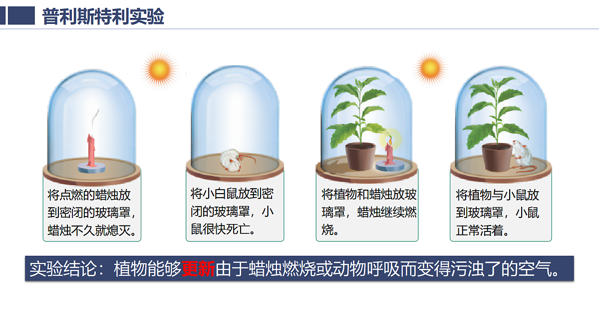 18438052第5页