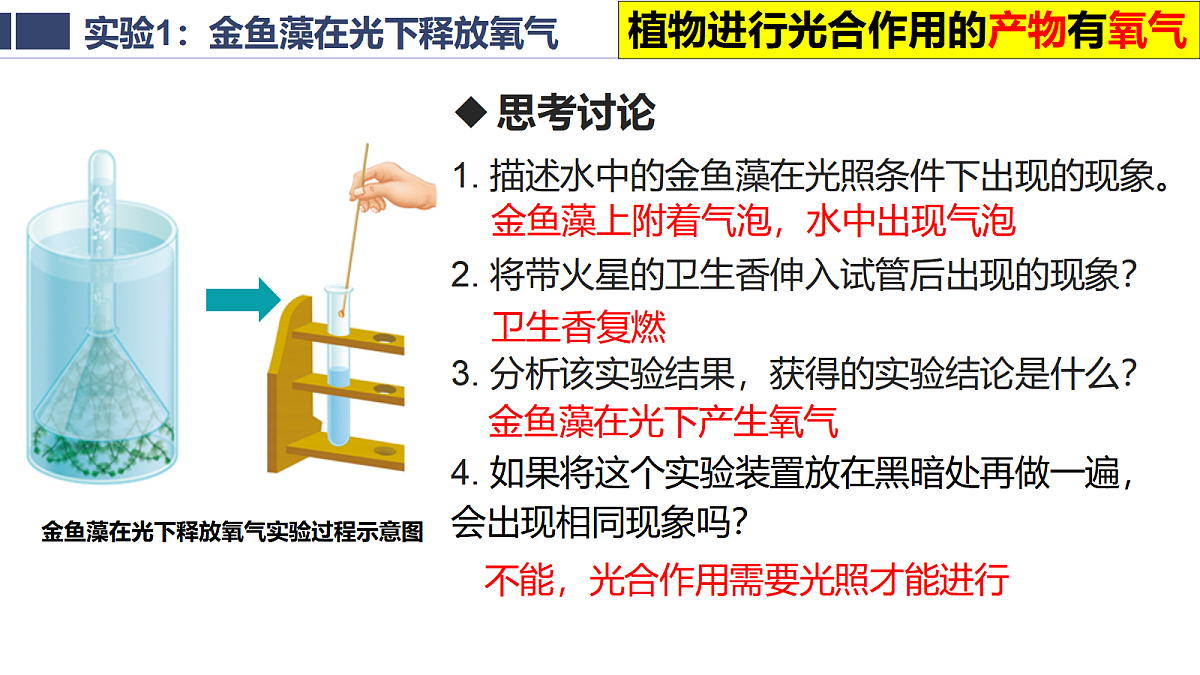 18438052第7页