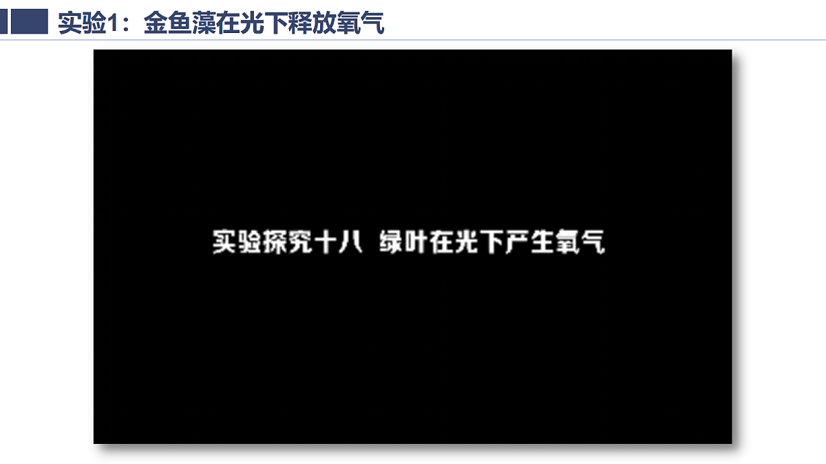 18438052第8页