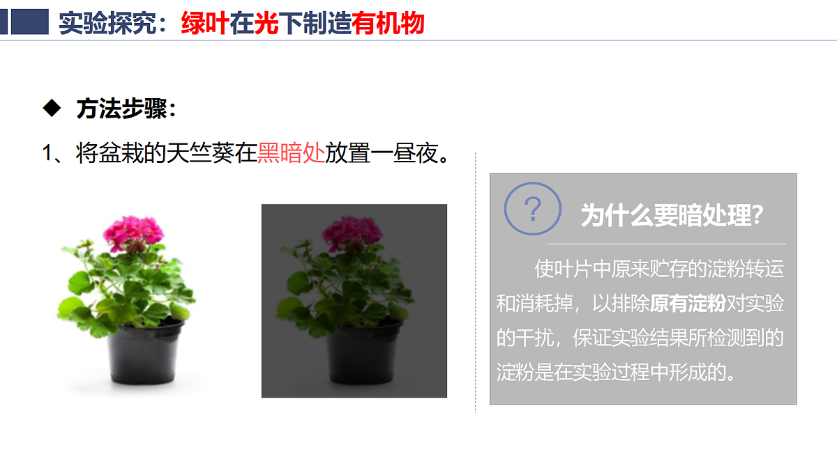 18438055第3页