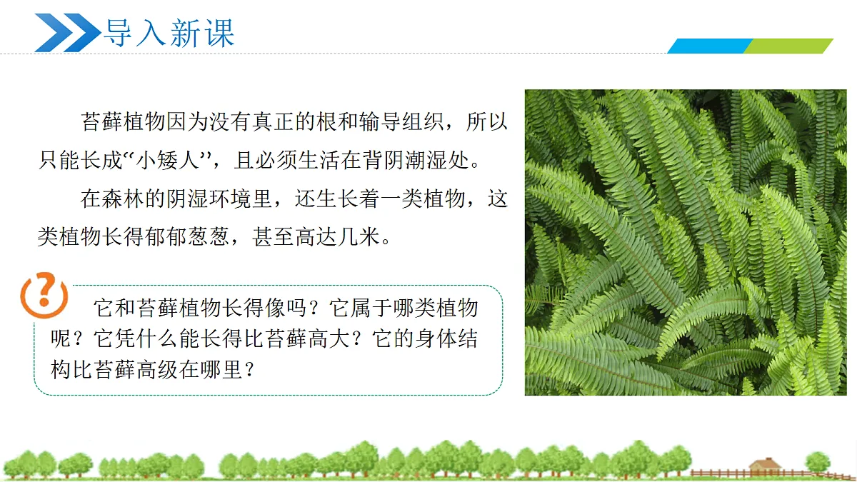 18438104第2页
