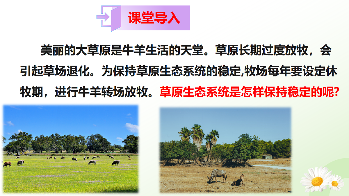 18438105第3页