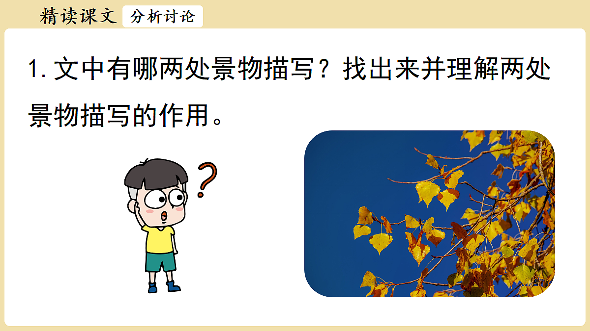 18438664第4页