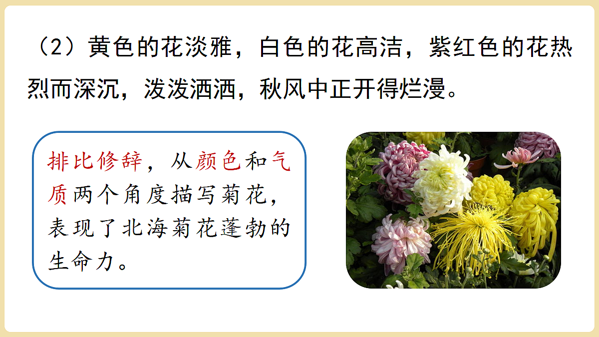 18438664第6页