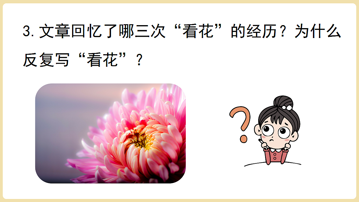 18438664第8页