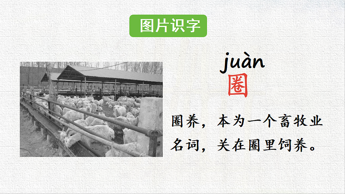 18439183第8页