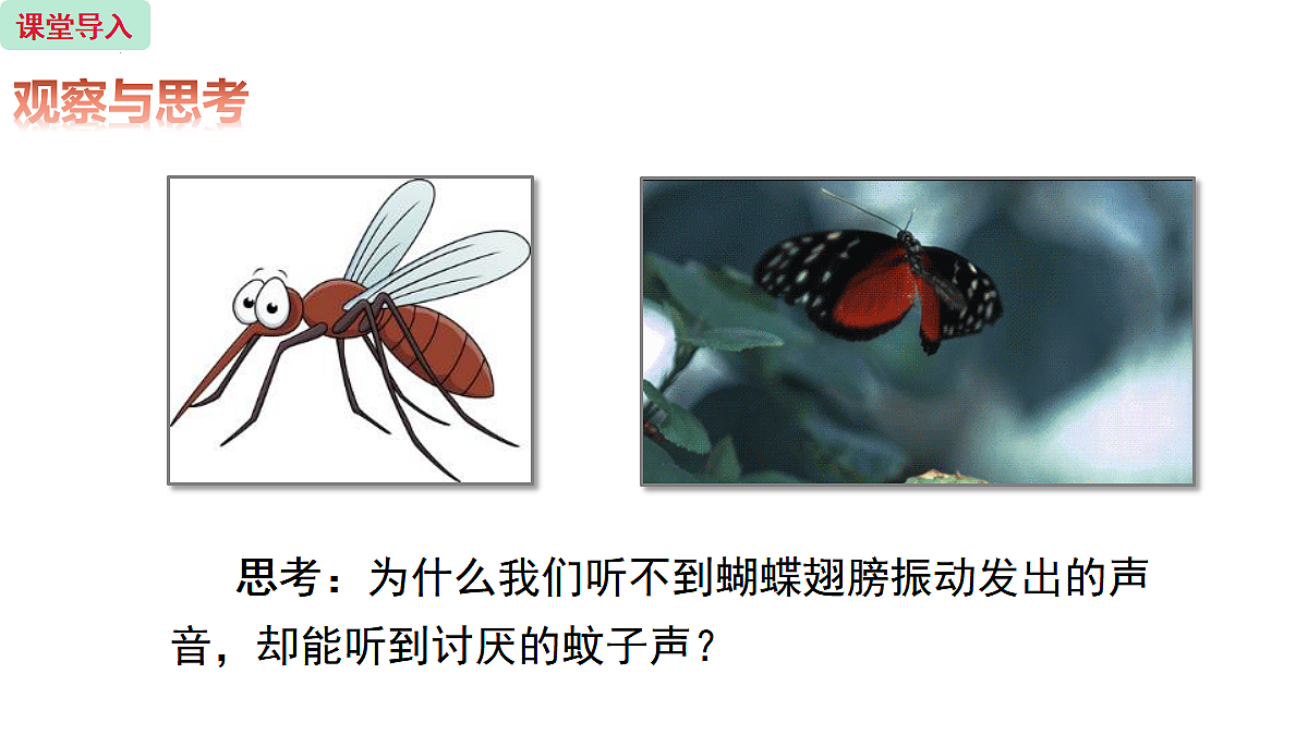18439463第2页