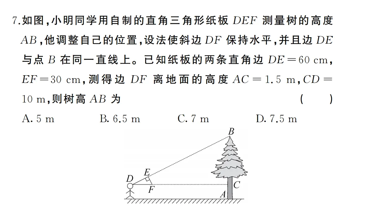 18439770第8页