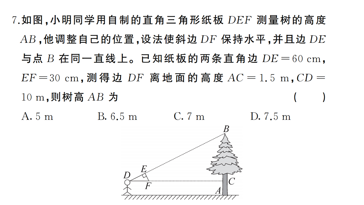 18439770第8页