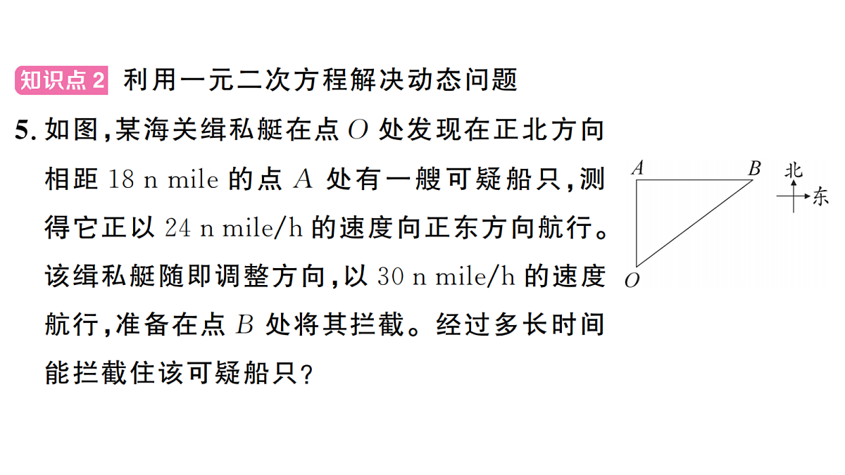 18439779第7页