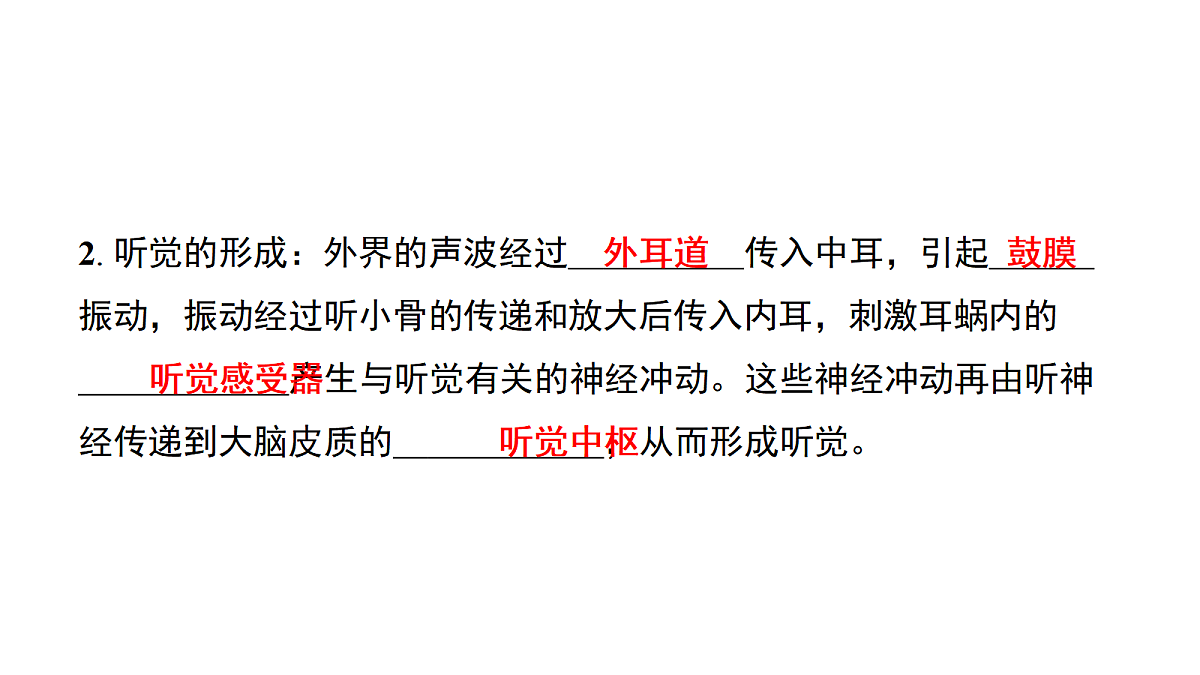 第3课时　耳与听觉　保护耳的健康第3页
