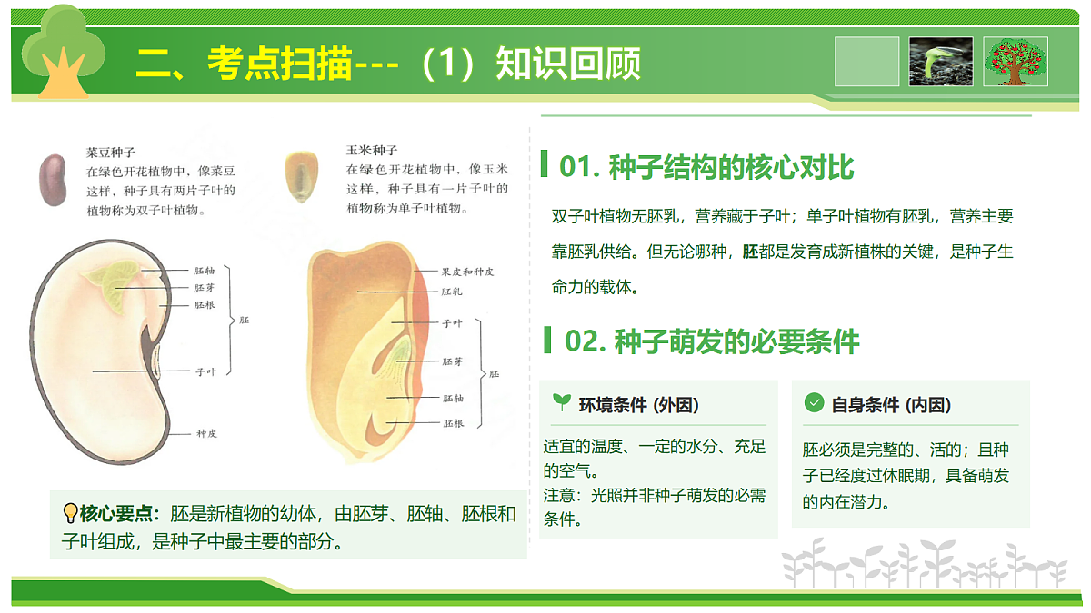 18441820第8页