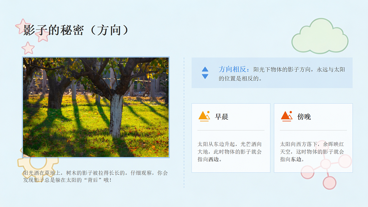 18442638第7页
