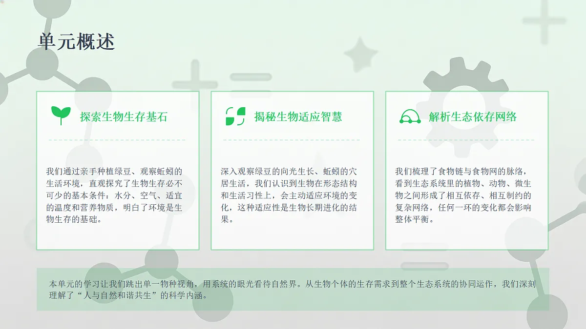 18442641第5页