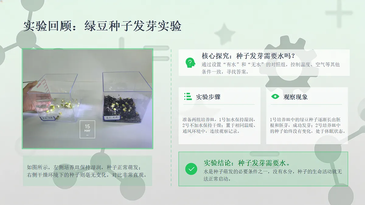 18442641第7页