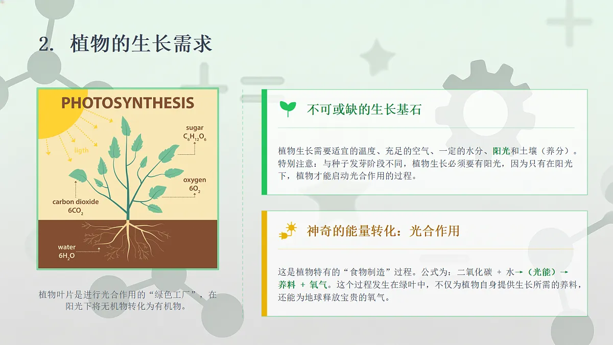 18442641第8页