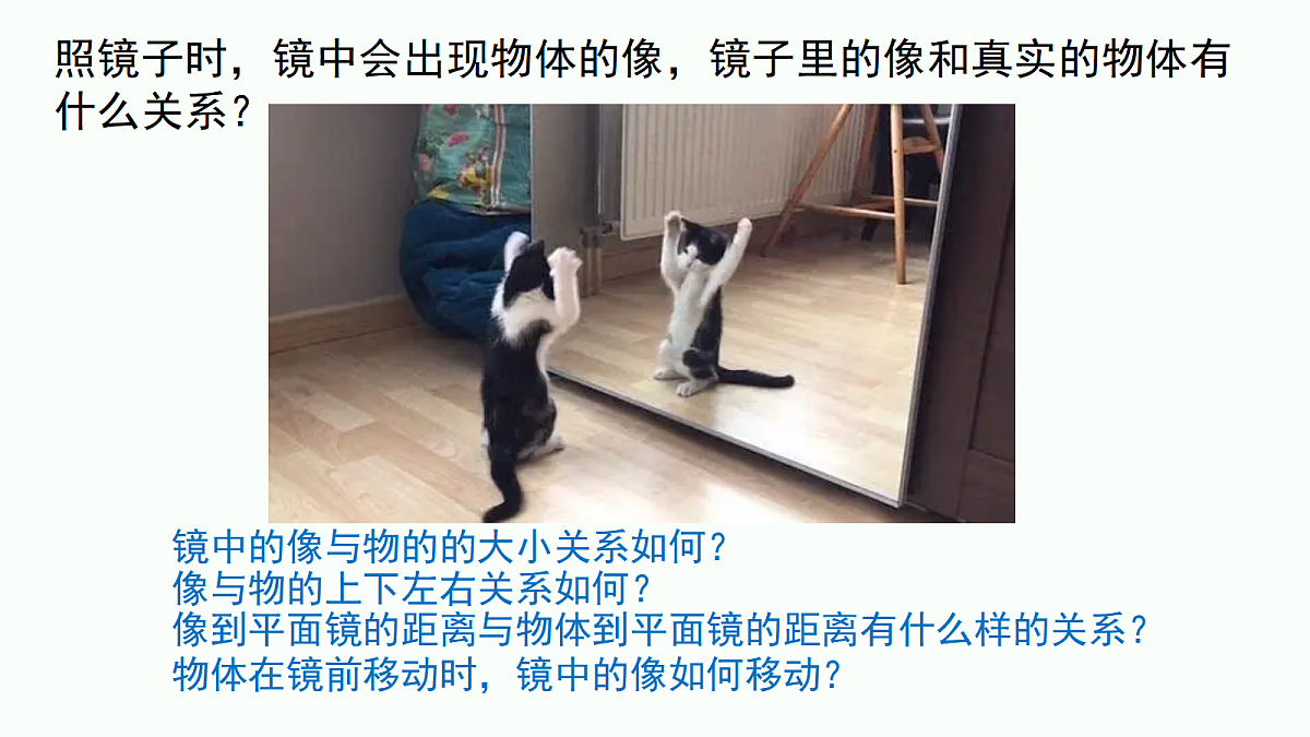 18442731第3页