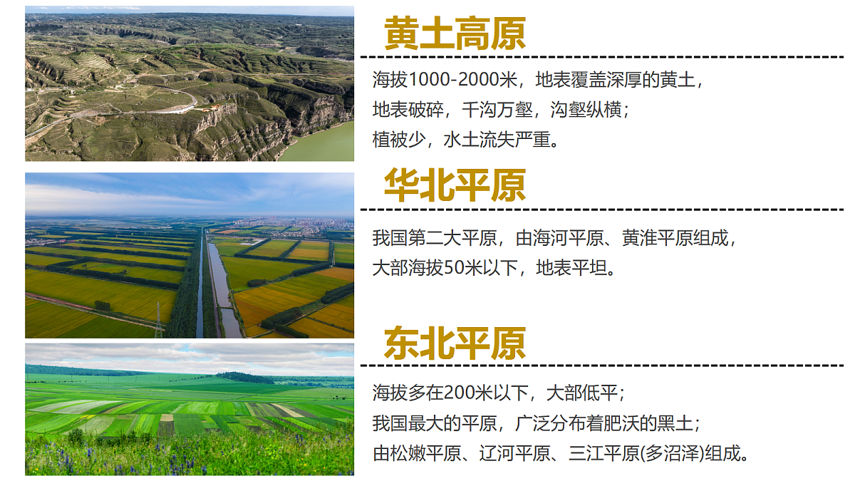 18442837第7页